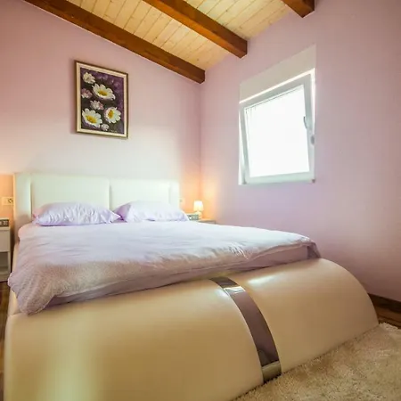 Nikola * Novigrad Istria